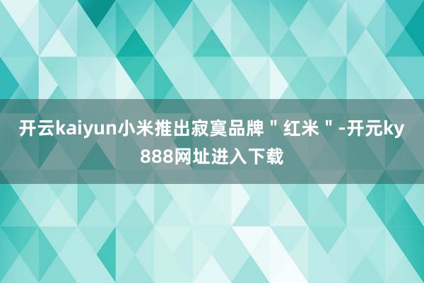 开云kaiyun小米推出寂寞品牌＂红米＂-开元ky888网址进入下载